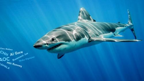 IMG_20210627_160054_642