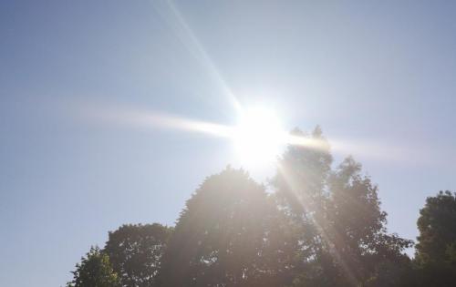 IMG_20210617_175629 (2)