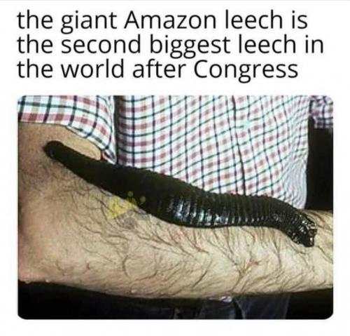 14:23:07 GMT-0500 (CDT)