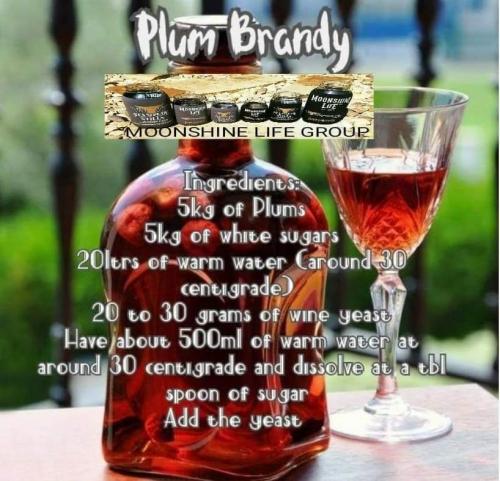 FB_IMG_1616169119344