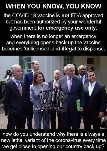 vaccine245