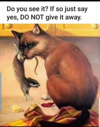 21:39:54 GMT-0700 (PDT)