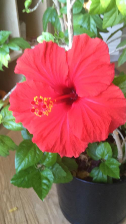 1CFBEC28-B8A2-460E-A920-2060CE35CD5C