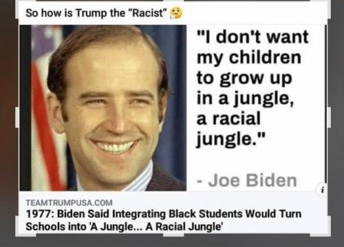 biden dont want children to grop up in a racial jungle black racist schools 1977