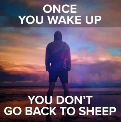 16:01:00 GMT-0600 (MDT)