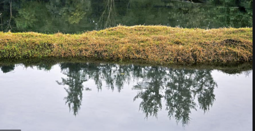 Screenshot 2021-06-02 8.02.13 AM