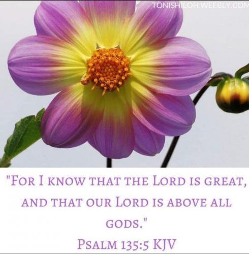 Screenshot_20210610-213342_Gallery