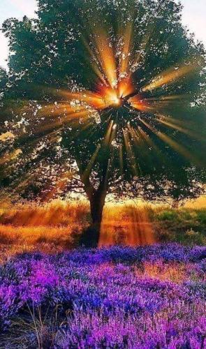 21:36:47 GMT-0500 (CDT)