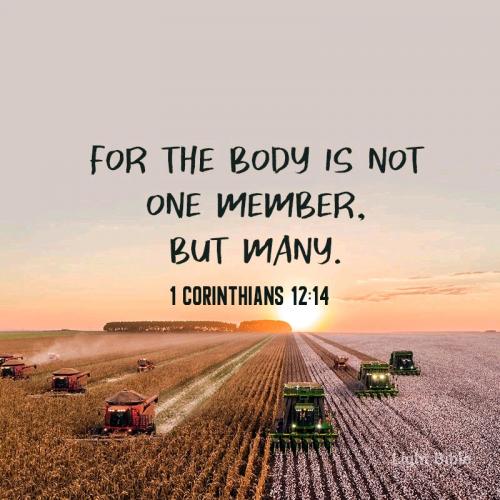 06:17:33 GMT-0400 (EDT).*