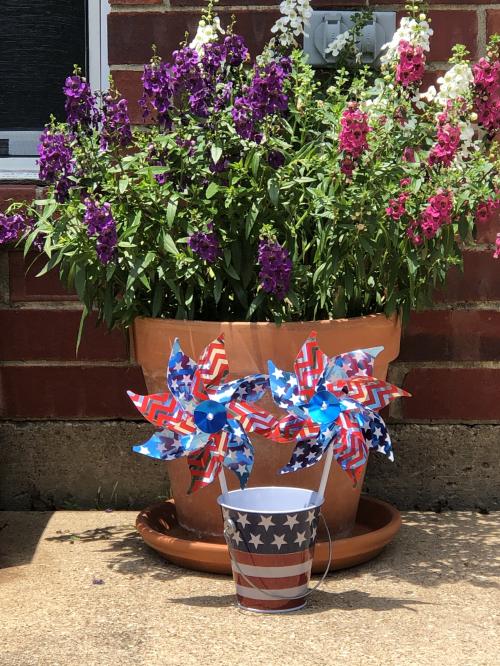 July 4th Photo Cover