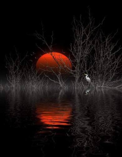 06:54:57 GMT-0500 (CDT)