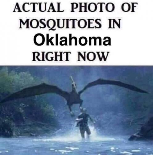 13:30:03 GMT-0500 (CDT).image