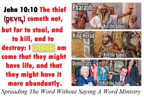 65460367_2231085130323939_6784199876835016704_n