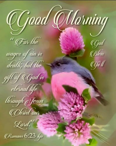 Screenshot_20210623-064815_Gallery