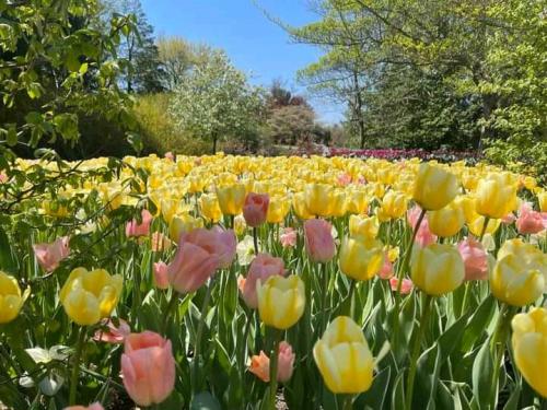 09:15:40 GMT-0700 (PDT)