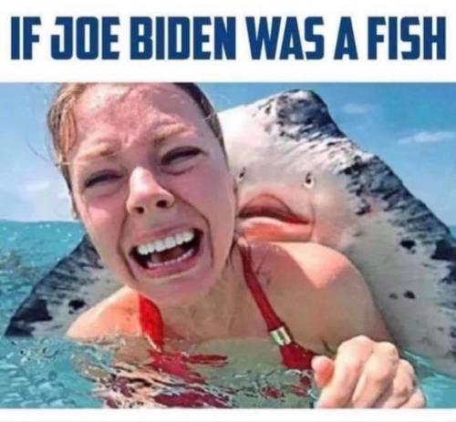 tumblr_f2de75a1ee20196c5273379e113f9b56_490d3567_540