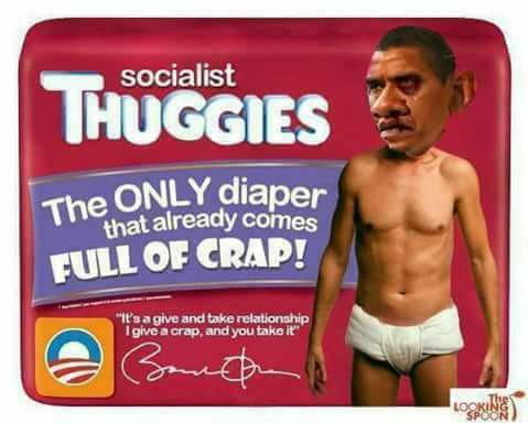 20953424_257744758071156_166941263702730021_n