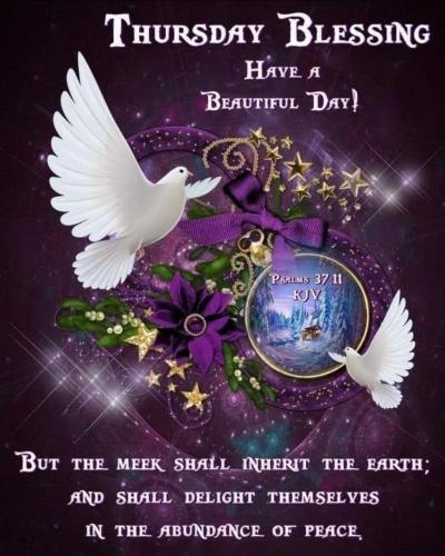 Screenshot_20210616-235735_Gallery