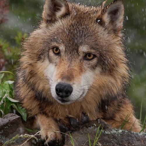 192583292_330147582012608_2183200179619117755_n