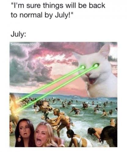 106628967_1204920323184587_8819661342806495961_n