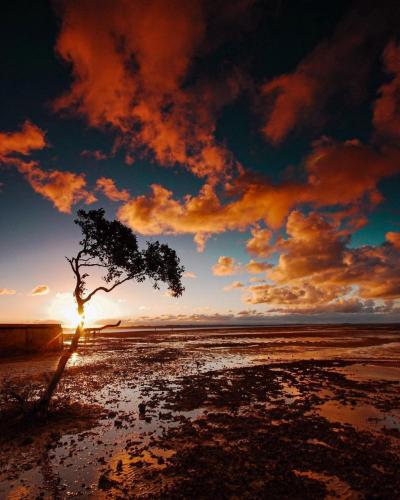 196379913_343659667137713_8688537399622900645_n