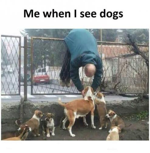 13:50:22 GMT-0500 (CDT)