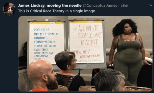 critical race theory single image all white people racist blm marxist lies diversity