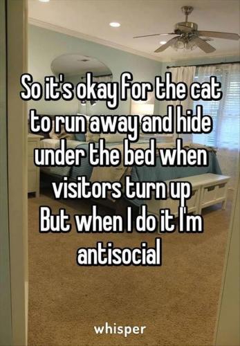 07:05:15 GMT-0600 (MDT).image