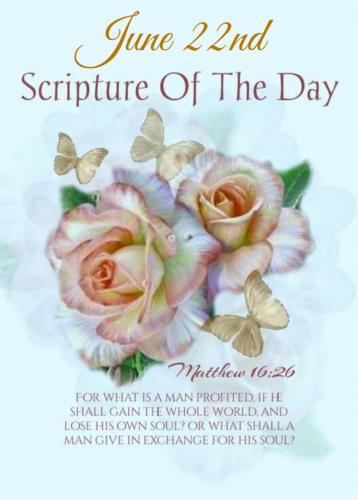 Screenshot_20210622-063146_Gallery