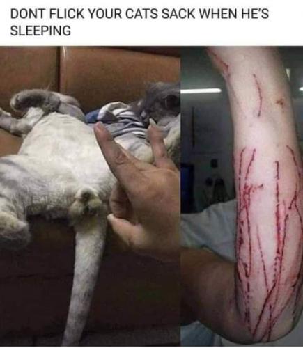 FB_IMG_1624432862927