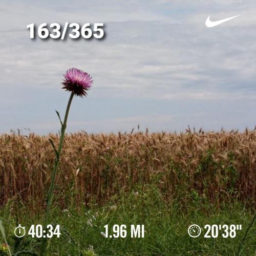 17:28:16 GMT-0500 (CDT)