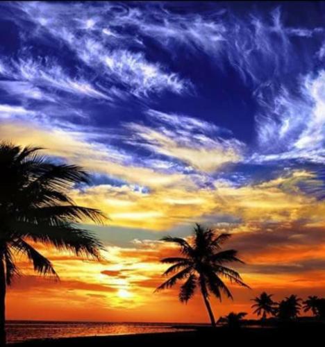 Screenshot_20210618-200708_Gallery