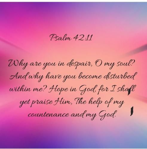 Screenshot_20210612-094021_Bible