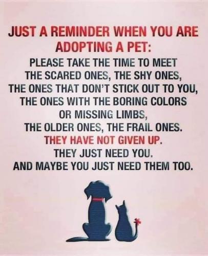 FB_IMG_1624672065700