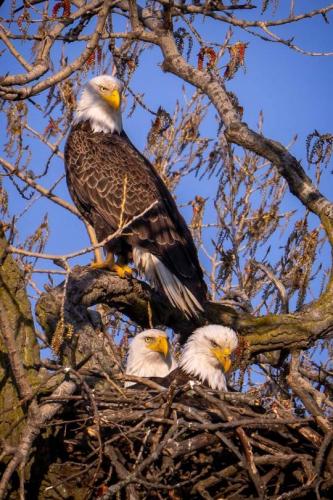 tumblr_e08ab8475e273bbb87d6572a0a8a2c21_dcb4ff3d_540