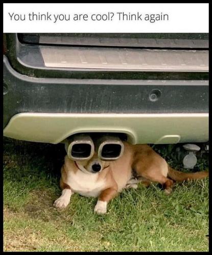 tumblr_34dc21efe7b80bedef38cd4d53e0bde2_c54d24de_1280