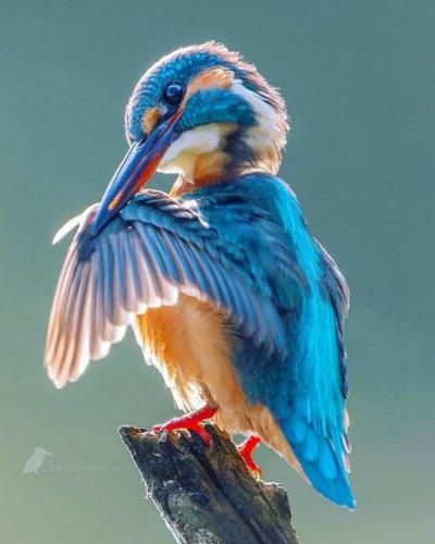 206992956_358113135692366_7716979258946570176_n