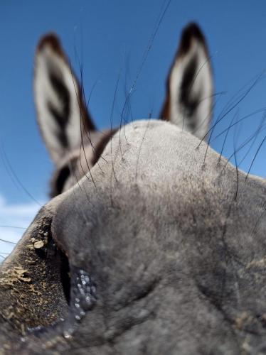 received_630602524562456