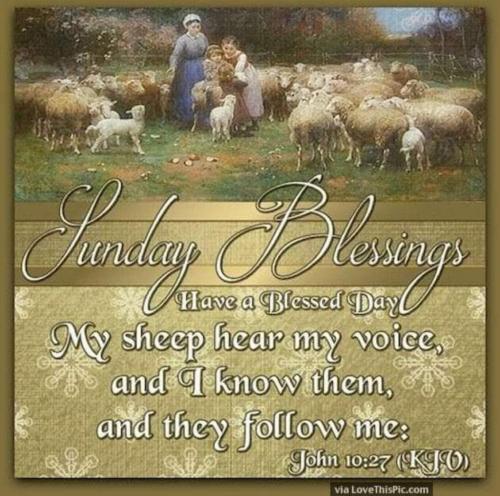 Screenshot_20210612-200800_Gallery