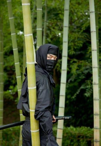 62590803_10211117173405392_5590040527203467264_n