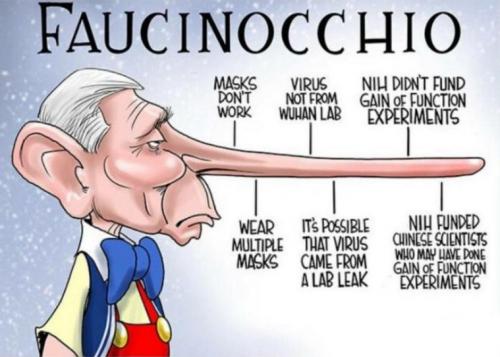 fauci82