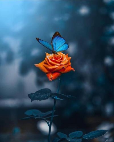 200708527_351574586346221_9013993202218603357_n