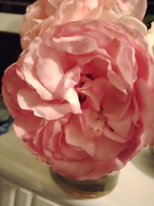 20:58:42 GMT+1000 (AEST)