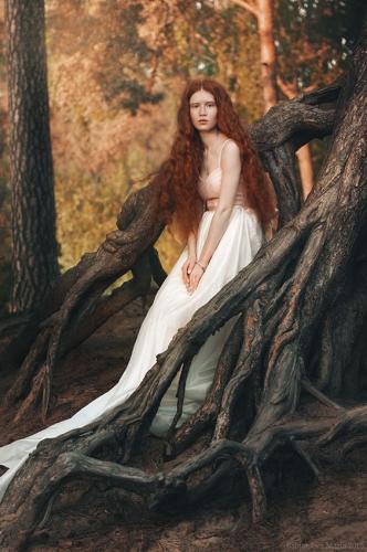 125773856593d5ada7099e621bf57008