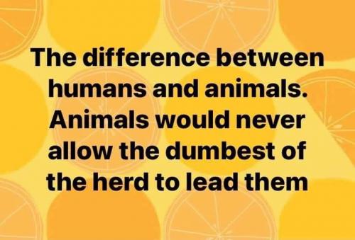 FB_IMG_1623288180925