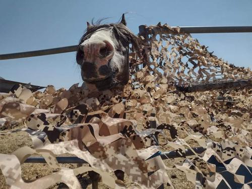 received_1184233152048220