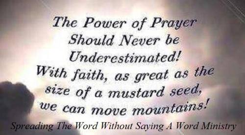 527577_203639016426100_1183438076_n