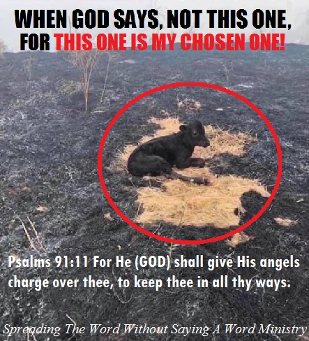 165668437_3818715261516777_5365561555258037724_n