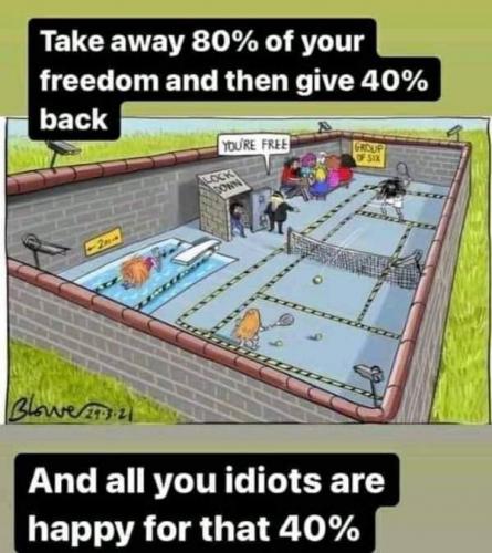 FB_IMG_1623013324314