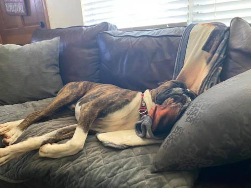 22:48:15 GMT-0500 (CDT).image